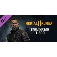ESD Mortal Kombat 11 Terminator T-800