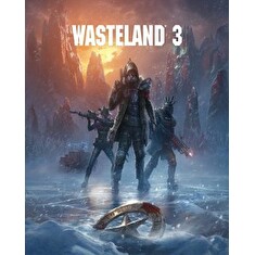ESD Wasteland 3