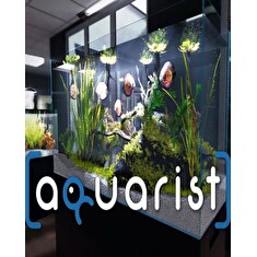 ESD Aquarist