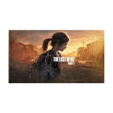 SONY PS5 hra The Last Of Us Part I