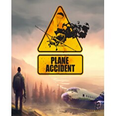 ESD Plane Accident