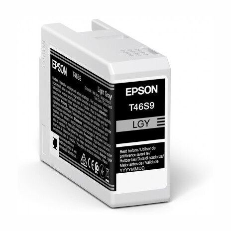 Epson Singlepack Light Gray T46S9 Ultrachrome
