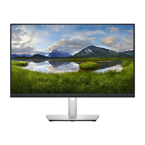Dell 24 Monitor - P2422H - 60.5cm (23.8)