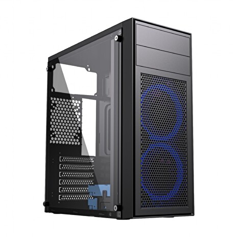 Gembird Fornax M100B/Midi Tower/Transpar./Černá