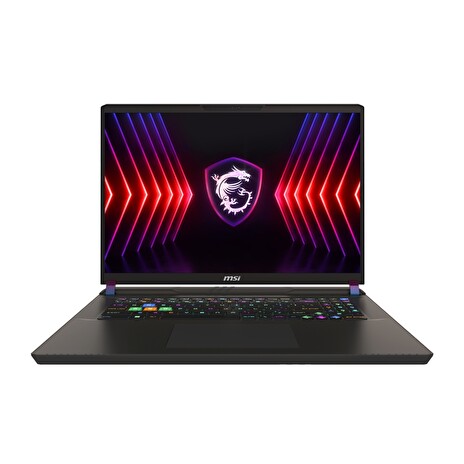 MSI Vector 17 HX A14VGG-245CZ ,i9-14900HX/32GB/1TB SSD/RTX 4070, 8GB/17"QHD+ IPS/Win 11 Home/černá