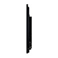55" iiyama TE5503MIS-B1AG: IPS, 4K, 350cd/m2, 18/7, iiWare, WiFi, 2x Touch Pen, HDMI,VGA, USB