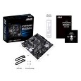 Bundle ASUS PRIME B550M-K + PAD TUF P1