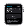 Watch Nike SE, 44mm, Silver/Plat./Bl Nike SB / SK