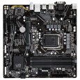 GIGABYTE B560M DS3H / Intel B560 / LGA 1200 / 4x DDR4 DIMM / 2x M.2 / VGA / DVI-D / HDMI / DP / USB-C / mATX