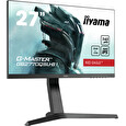 27" iiyama G-Master GB2770QSU-B1: IPS, WQHD@165Hz, 400cd/m2, 0.5ms, HDMI, DP, USB, FreeSync, pivot