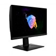 MSI Oculux NXG253R 24.5"/1920X1080/1000:1/1ms/360