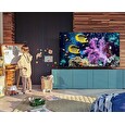 Samsung QE55Q67A 55" QLED 4K TV 3840x2160