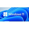 MS Win 11 Pro 64-bit German 1pk OEM DVD