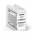 Epson SureColor SC-P900 Roll Unit Bundle