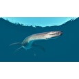 ESD Jurassic World Evolution 2 Deluxe Edition
