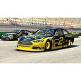 ESD NASCAR 15 Victory Edition