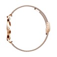 CARNEO Phoenix HR+/Gold/Elegant Band/Gold
