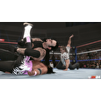 PS4 - WWE 2K24