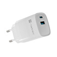 Universální USB nabíječka Natec RIBERA GaN 30W, 1X USB-A, 1X USB-C, černá