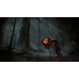 ESD Elden Ring Shadow of the Erdtree Premium Bundl