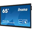 65" iiyama TE6514MIS-B2AG:VA,4K,50P,Google EDLA
