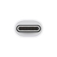 USB-C to USB Adapter
