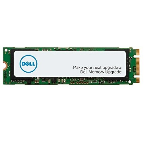 Dell 1TB SSD M.2 PCIe NVME Class 40 2280, pro Precision 3450/3650